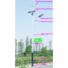 WPSRR-7701 3~15m Municipal Road Hot DIP Galvanized Steet Light Pole style